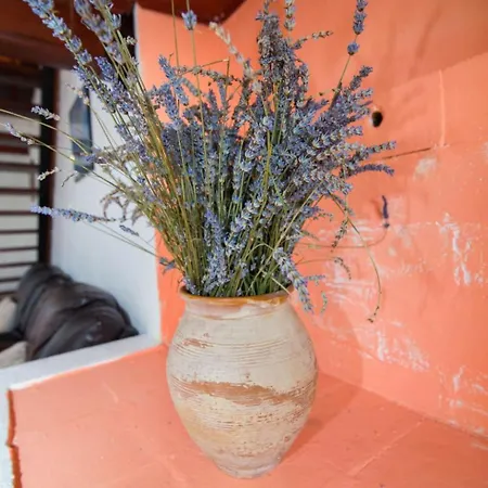 Franko In By Interhome * Veli Lošinj